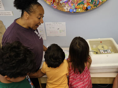 A woman looking excitedly with three young children at an incubator with eggs