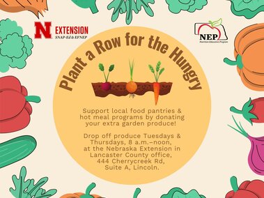 Plant a Row for the Hungry program graphic