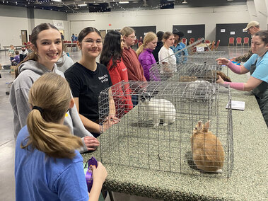 Several youth standing along a table which has rabbits in cages. A judge is looking at one rabbit.