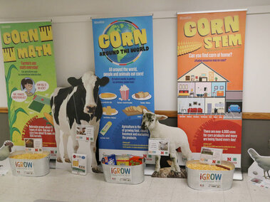 A display of three banners, cardboard farm animals, and bins of corn and other grains