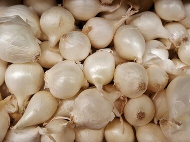 A whole bunch of white onions. Too many to count.