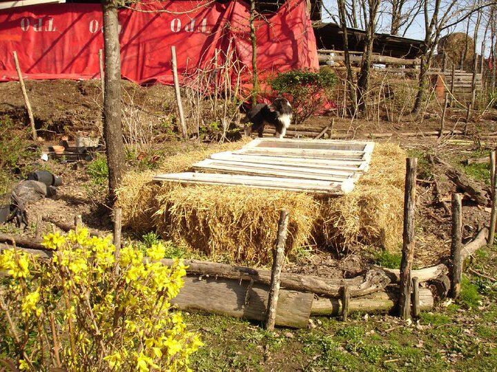 Cold Frame unheated structure
