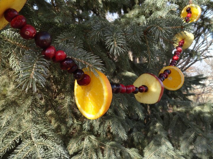 fruit garland