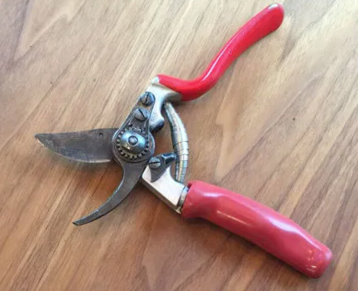 Picture of Hand Pruners