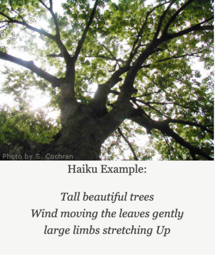 Image of a garden haiku poem. 