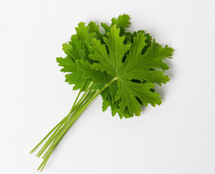 Picture of Geranium Herb Leaves