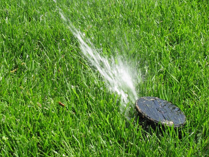 Irrigation head needing adjustment to set output nozzle higher above grass.