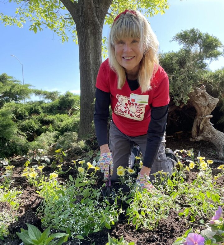 Planting the Sunken Gardens.