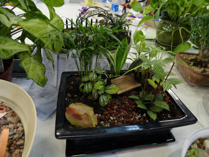 Picture of Terrarium