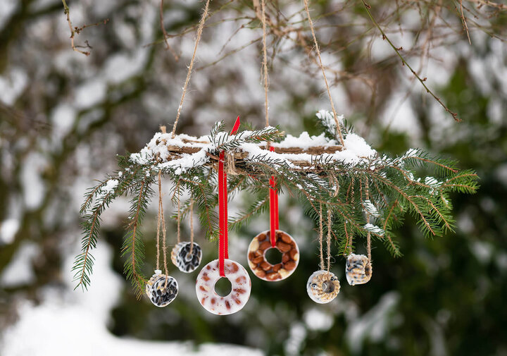 Evergreen wreath hung, face down, from a tree outside - covered in snow with homemade suet tied to the wreath some with red ribbon and some with jute.
