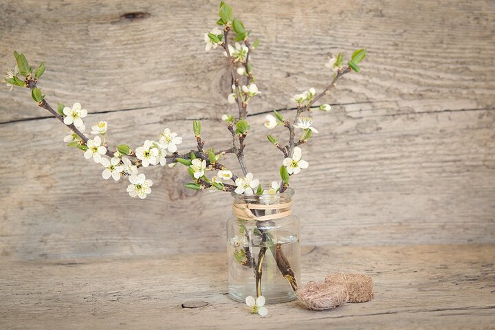 Dainty apple blossoms bring a touch of spring indoors.