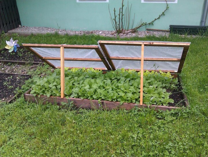 Image of a coldframe. 