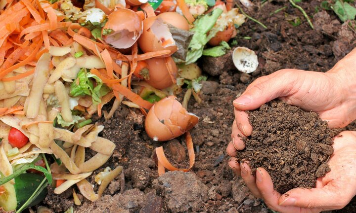 Image of finished compost.