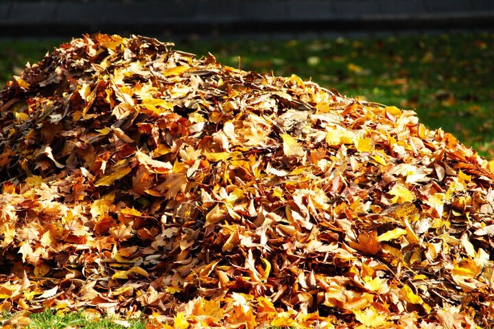 Fall leaves are a good high carbon or 