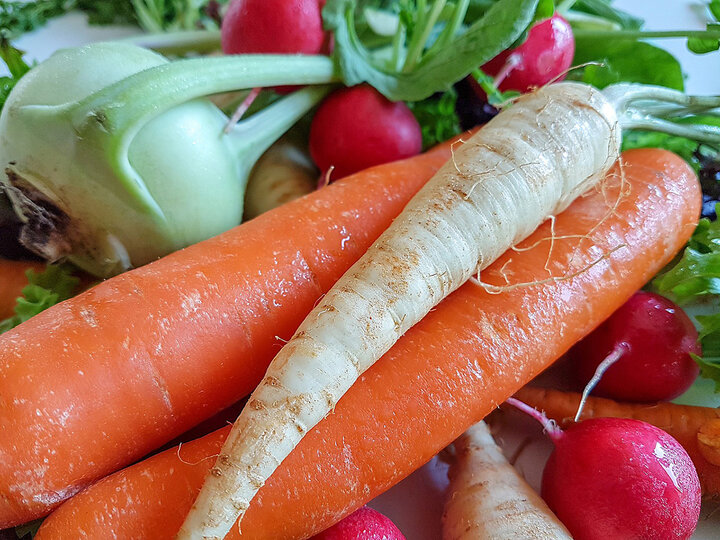 Image of garden vegetables. 