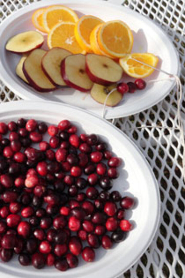 Fruit Garland for the Birds