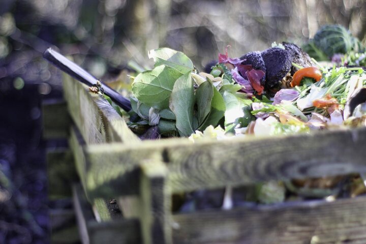 Image of kitchen scraps for use in compost pile?