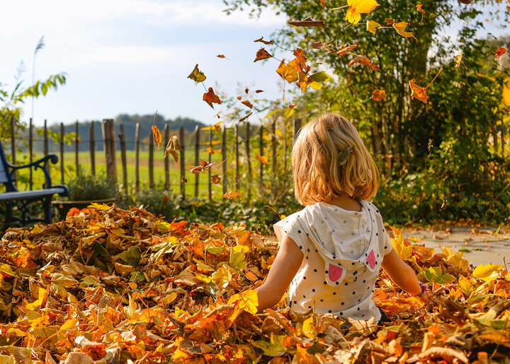  Picture of a girl sitting in leaves.