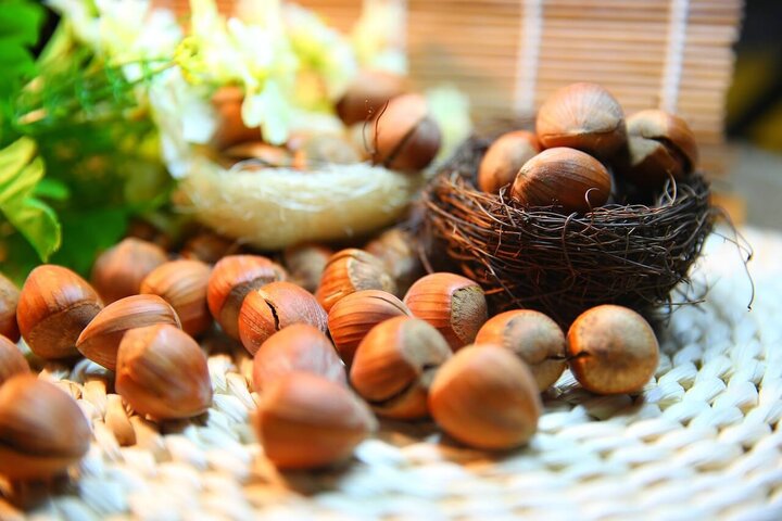 Hazelnuts in the shell - displayed on a table with a birds nest and some on a woven placemat.