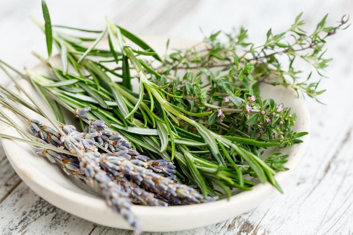 Picture of herbs ready for drying. 