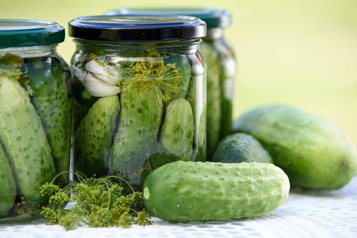 Pickling cucumbers