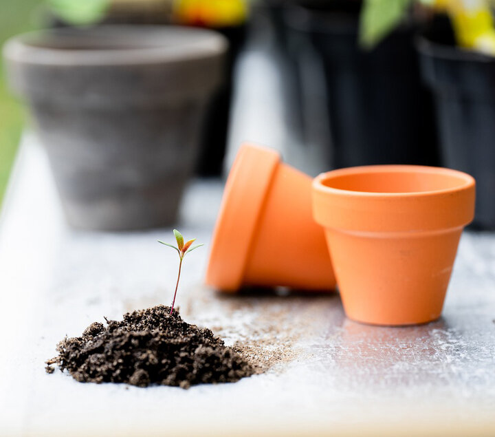 Picture of clay pots.