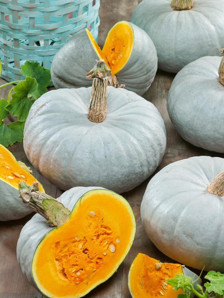 Image of 'Blue Prince' pumpkin. 