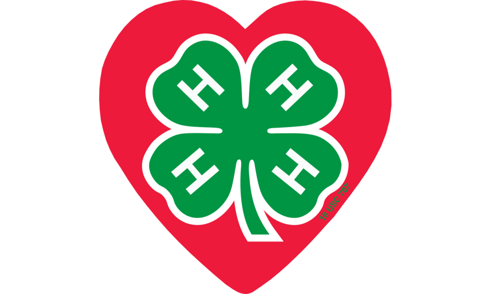 4-H logo in a heart shape