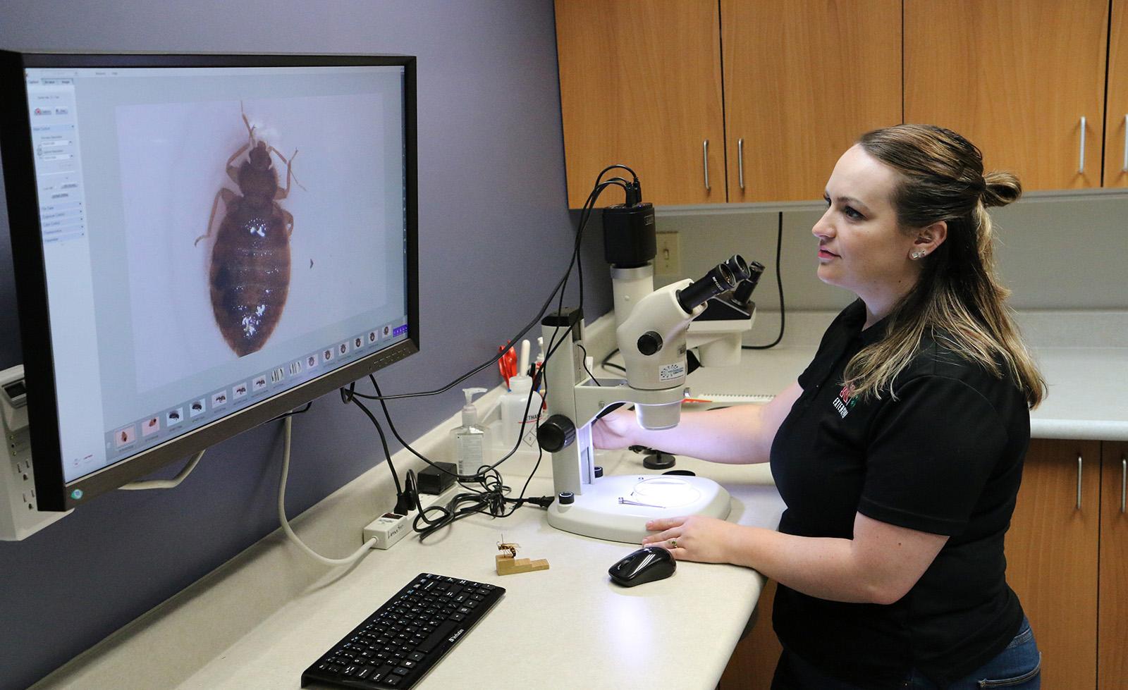 Kait Chapman at digital scope looking at bed bug on screen